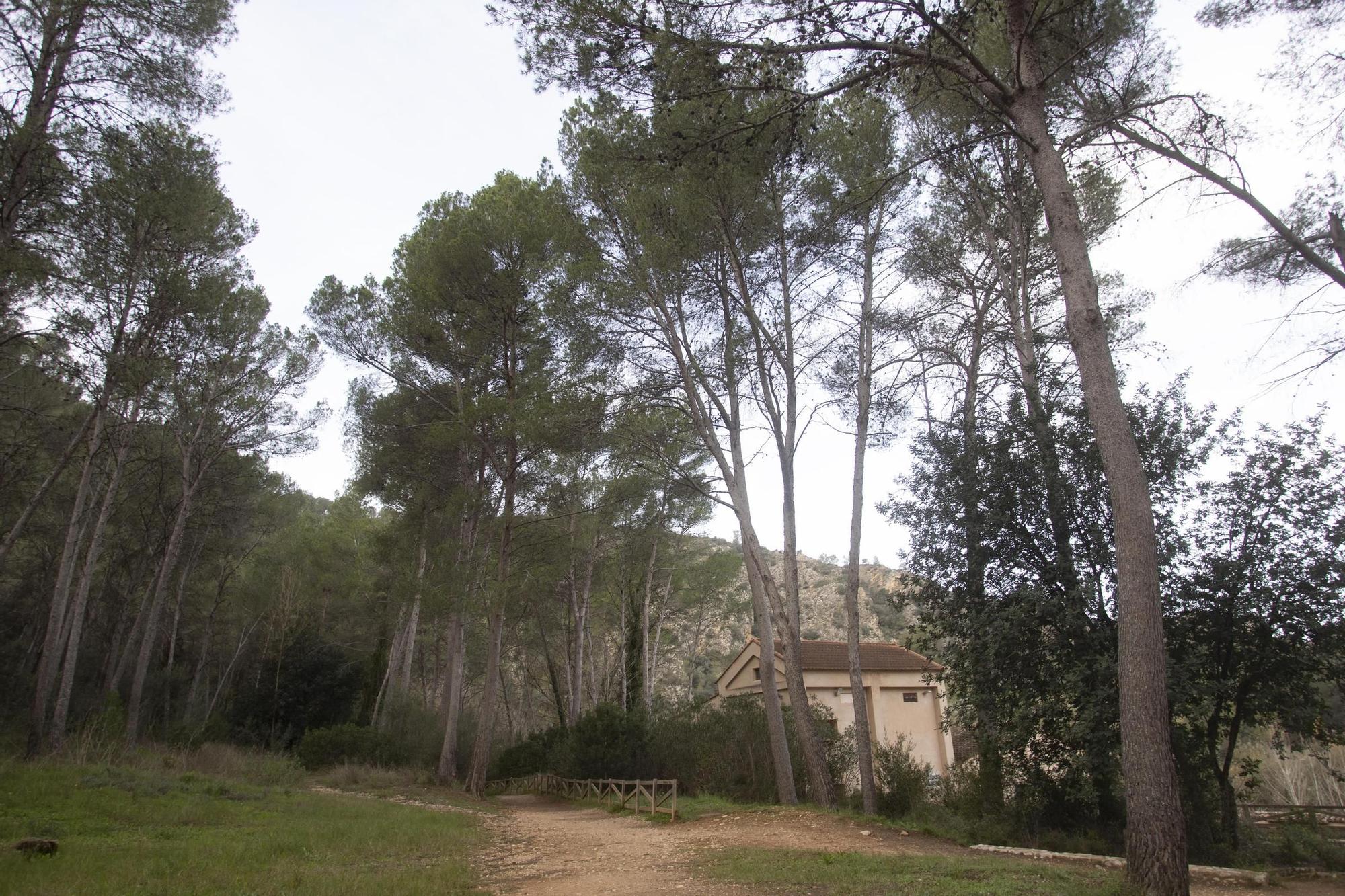 La Cova Negra, un paraje natural que Xàtiva quiere potenciar