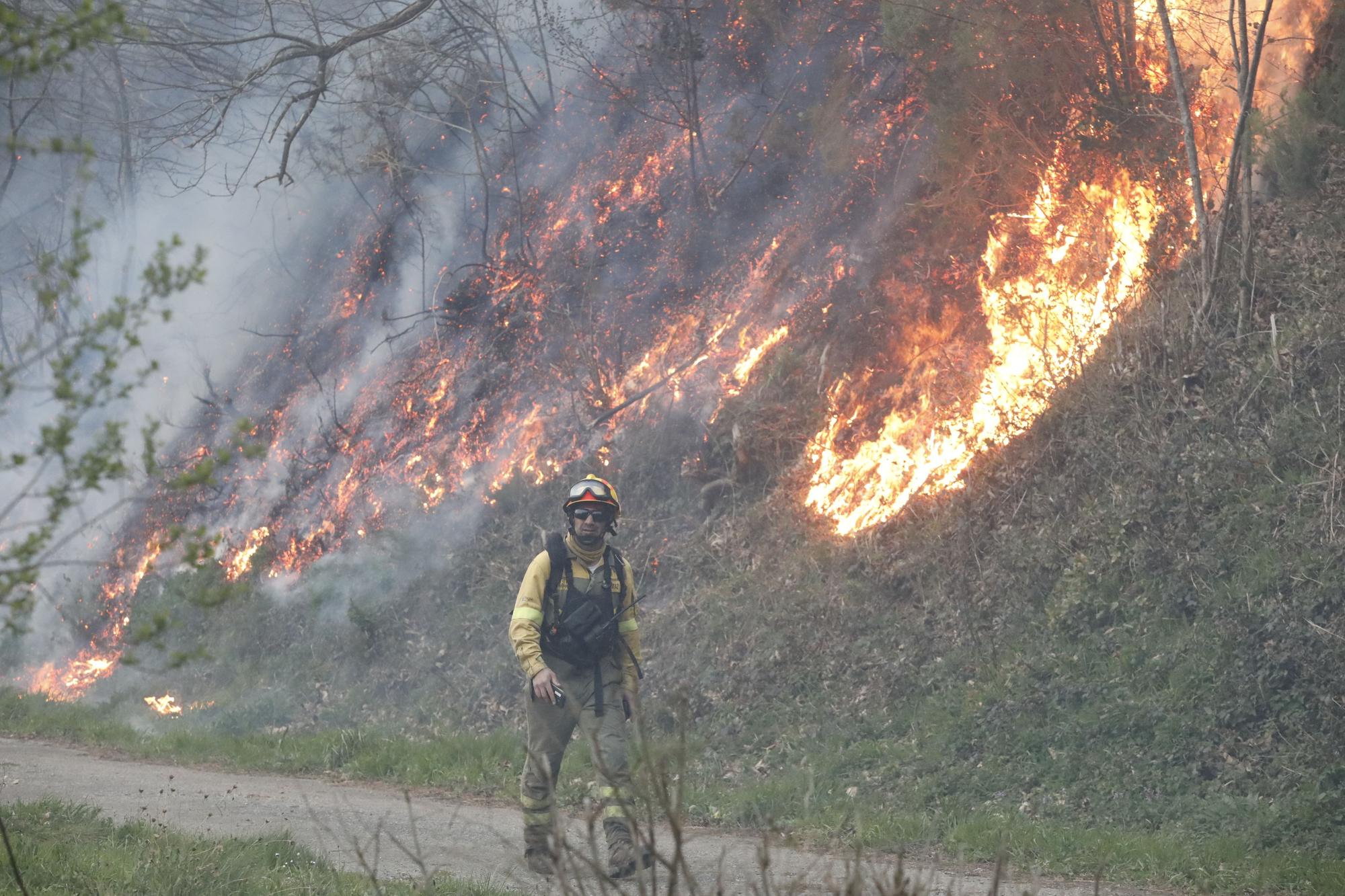 EN IMÁGENES: bomberos, vecinos y la UME luchan contra el preocupante incendio en Tineo