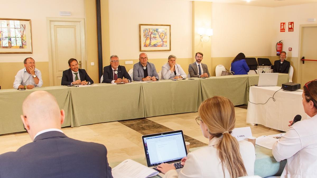 El presidente de Canarias, Ángel Víctor Torres, preside una reunión de trabajo con eurodiputados y eurodiputadas integrantes de la Comisión de Desarrollo Regional del Parlamento Europeo