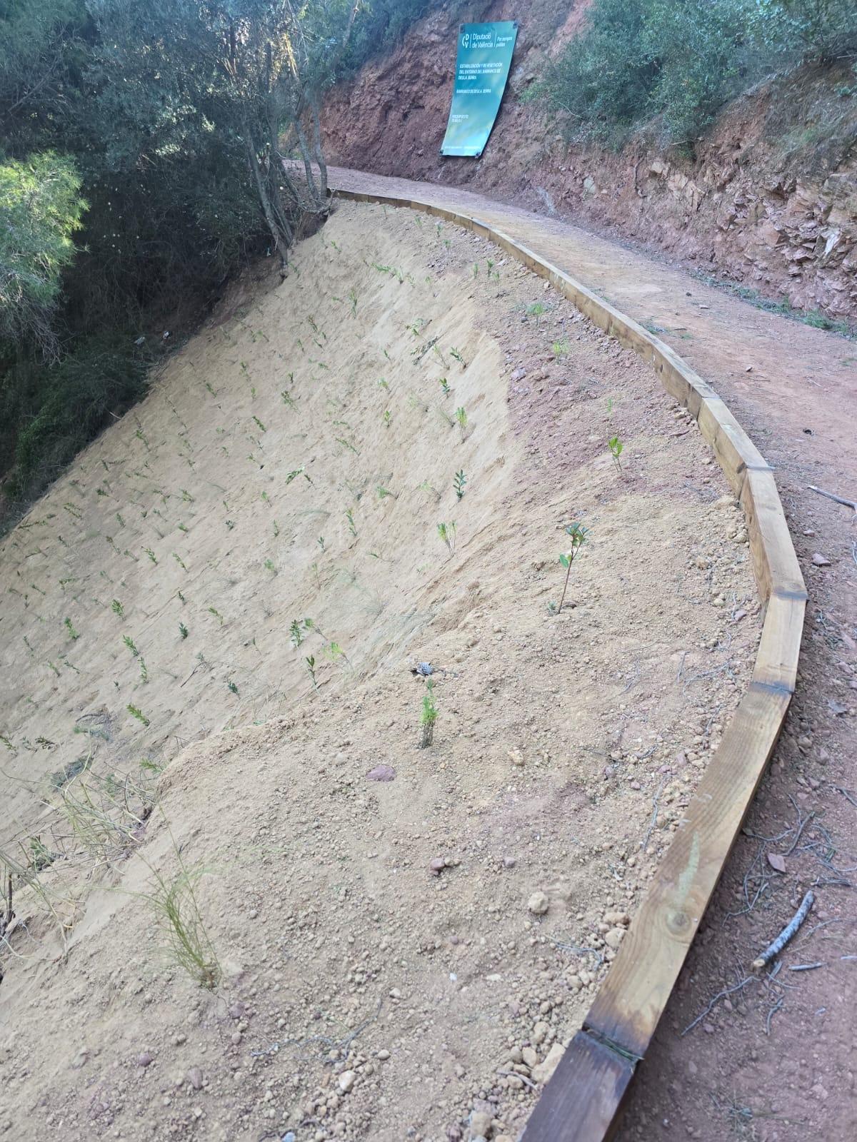 La Diputació de València estabiliza el acceso al barranco de Deula en Serra para garantizar el paso de emergencias y frenar la erosión.