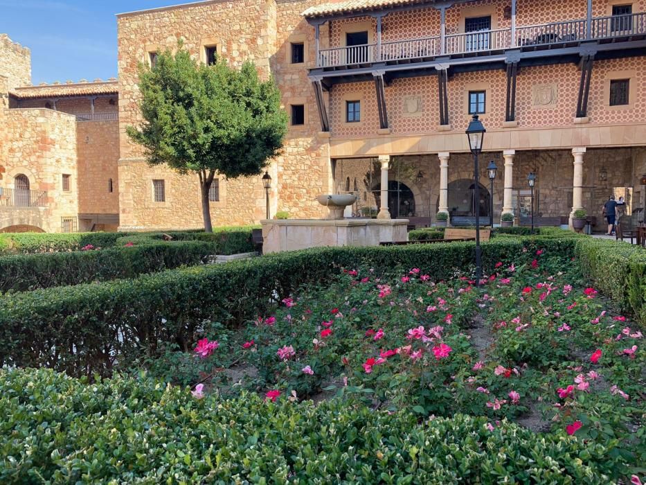 Rosa "Castell d'Alaquàs" en el Parador de Sigüenza.