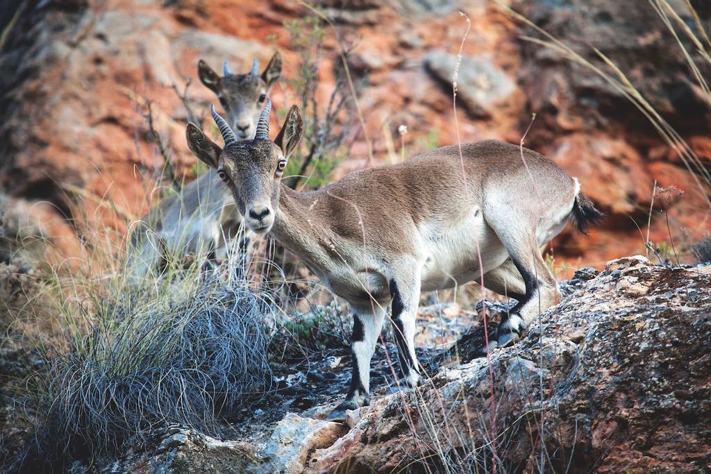 Lagunas de Ruidera, Castilla la Mancha