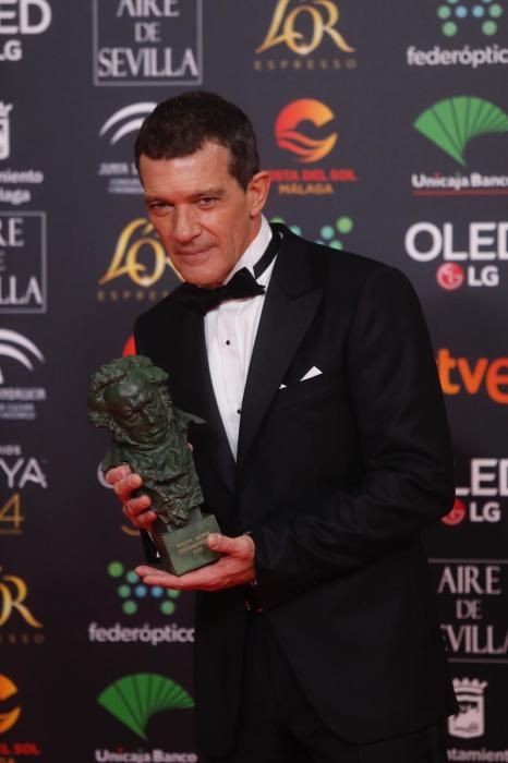 Antonio Banderas, Goya a Mejor Actor por 'Dolor y Gloria'.