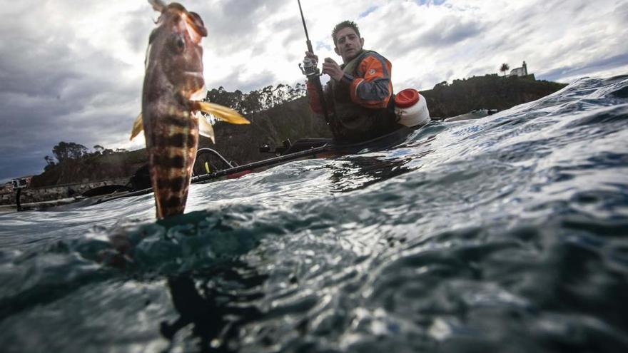 La pesca desde kayak se regulará en España mediante un Real Decreto, a punto de ver la luz