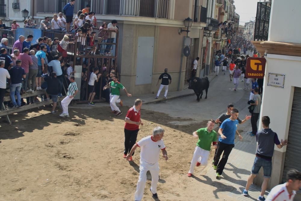 Festes de Santa Quitèria en Almassora