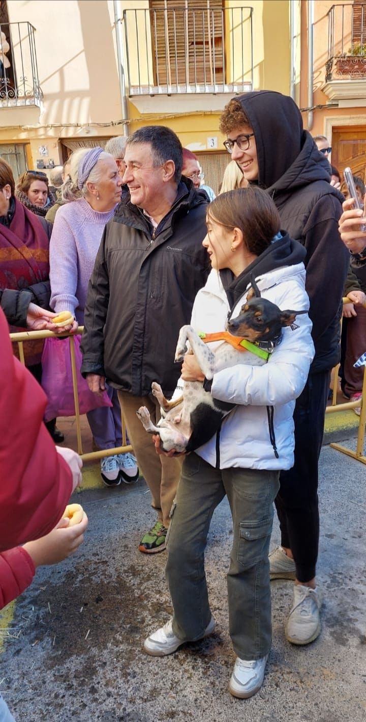 Navajas bendice a sus animales por San Antón