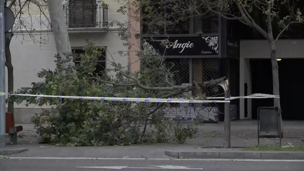 BARSELONA RÜZGARI | Barselona ve Katalonya'da hava durumu bugün canlı: kuvvetli rüzgarlar ve Caetano fırtınası uyarısının son saati