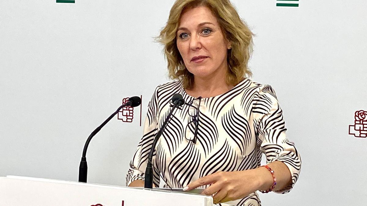 La parlamentaria andaluza del PSOE, Ana Romero, en rueda de prensa.