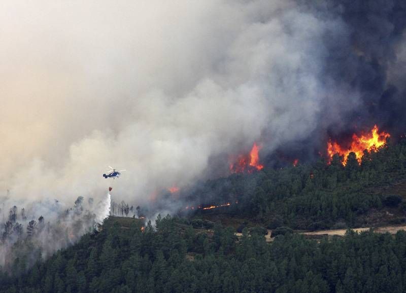 Incendio de Acebo y Perales del Puerto