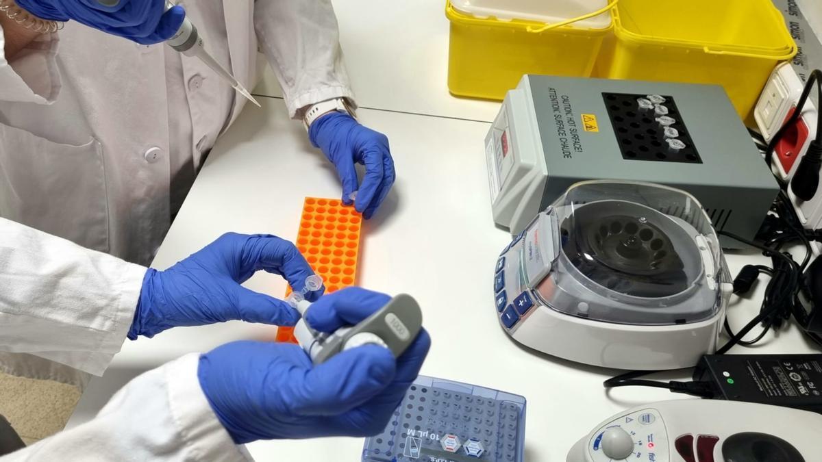 Científiques fent proves de laboratori en una investigació sobre el càncer de mama