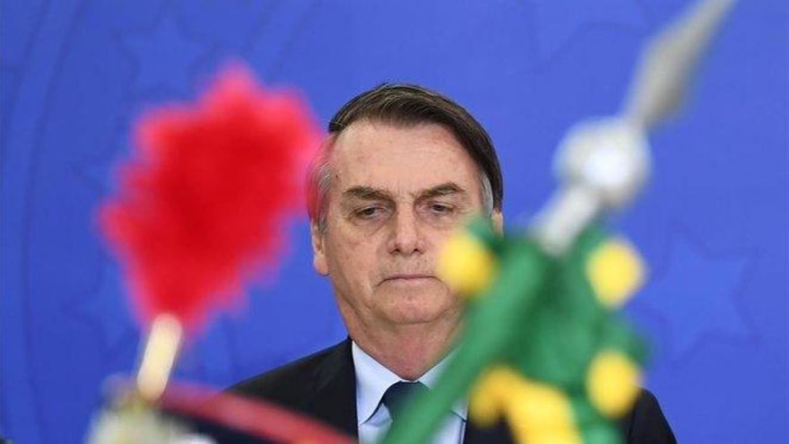 Bolsonaro está inundando de &quot;veneno&quot; a la agricultura de Brasil, dice Greenpeace