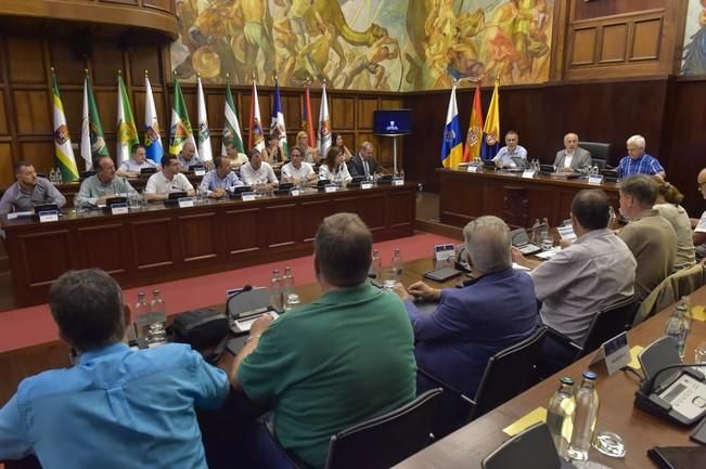 Reunión Cabildo - alcaldes para decidir los ...