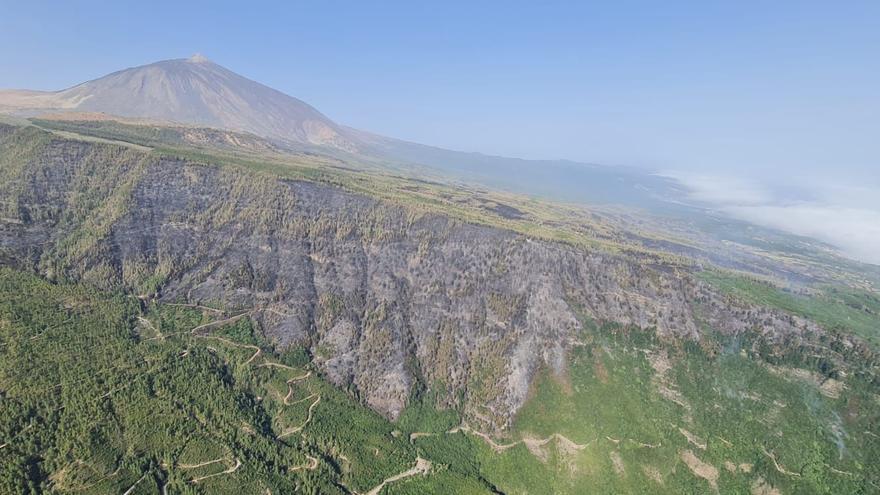 Aspecto de la zona de Tigaiga afectada por el incendio de Tenerife