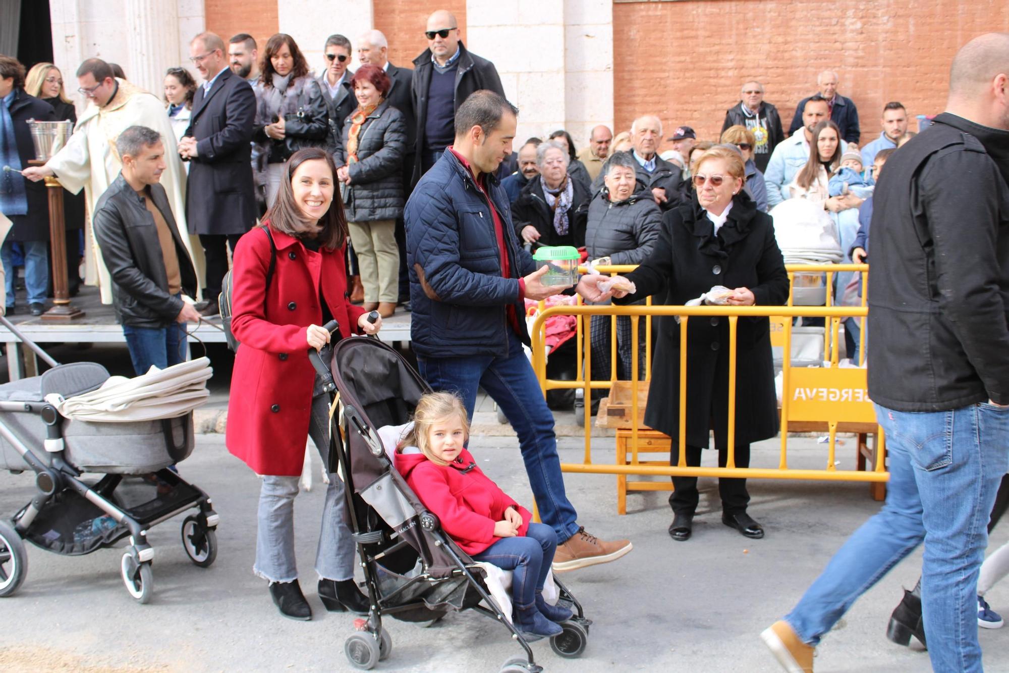 Las fiestas de Sant Antoni de Turís, en imágenes