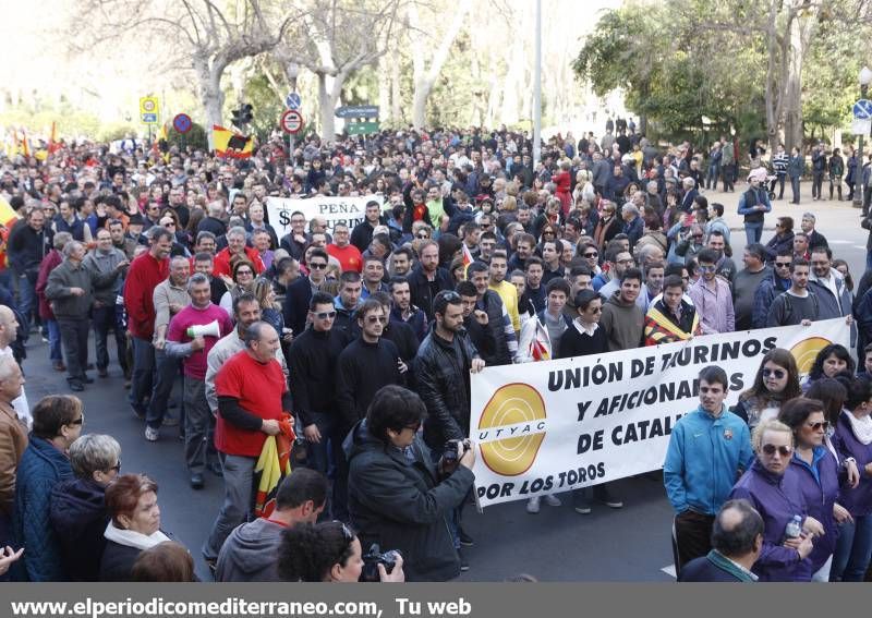 GALERÍA DE FOTOS -- Seguimiento de la manifestación protaurina -- Parte 1