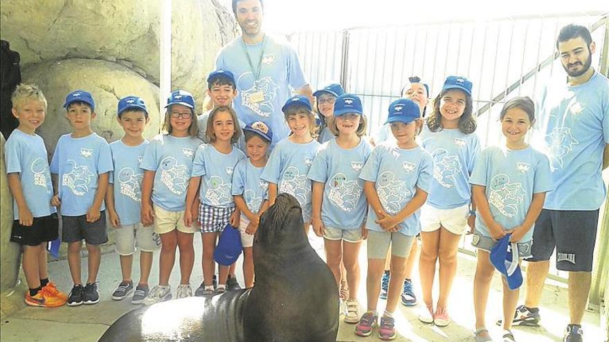 La escuela de pascua del oceanogràfic, a punto