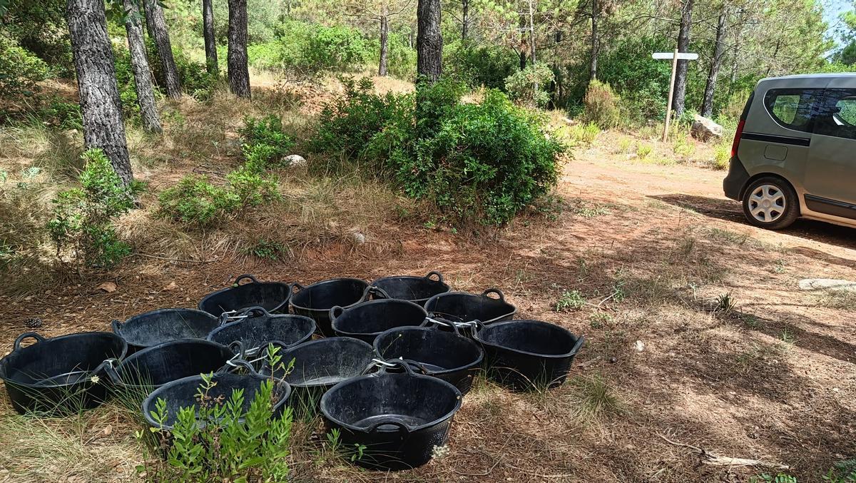 Algunos de los cubos con agua.