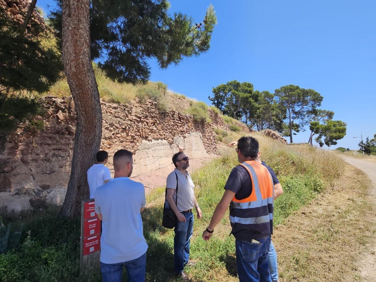 La visita la entorno del Castell.