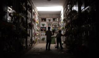 Seis millones de flores disponibles para el Día de Todos los Santos en Canarias