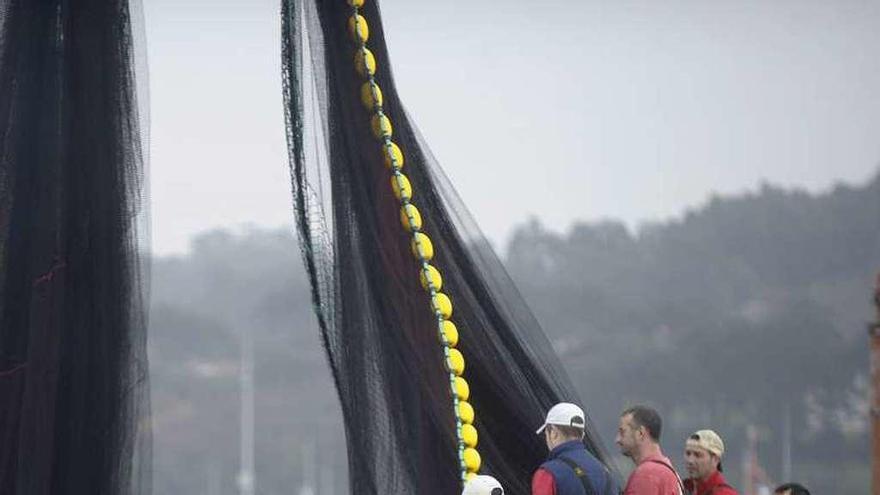 Marineros de cerco preparan las redes en el puerto de A Coruña.