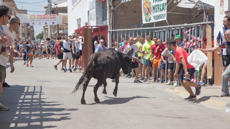 Els &quot;bous al carrer&quot; de Picassent se harán en una plaza en julio.