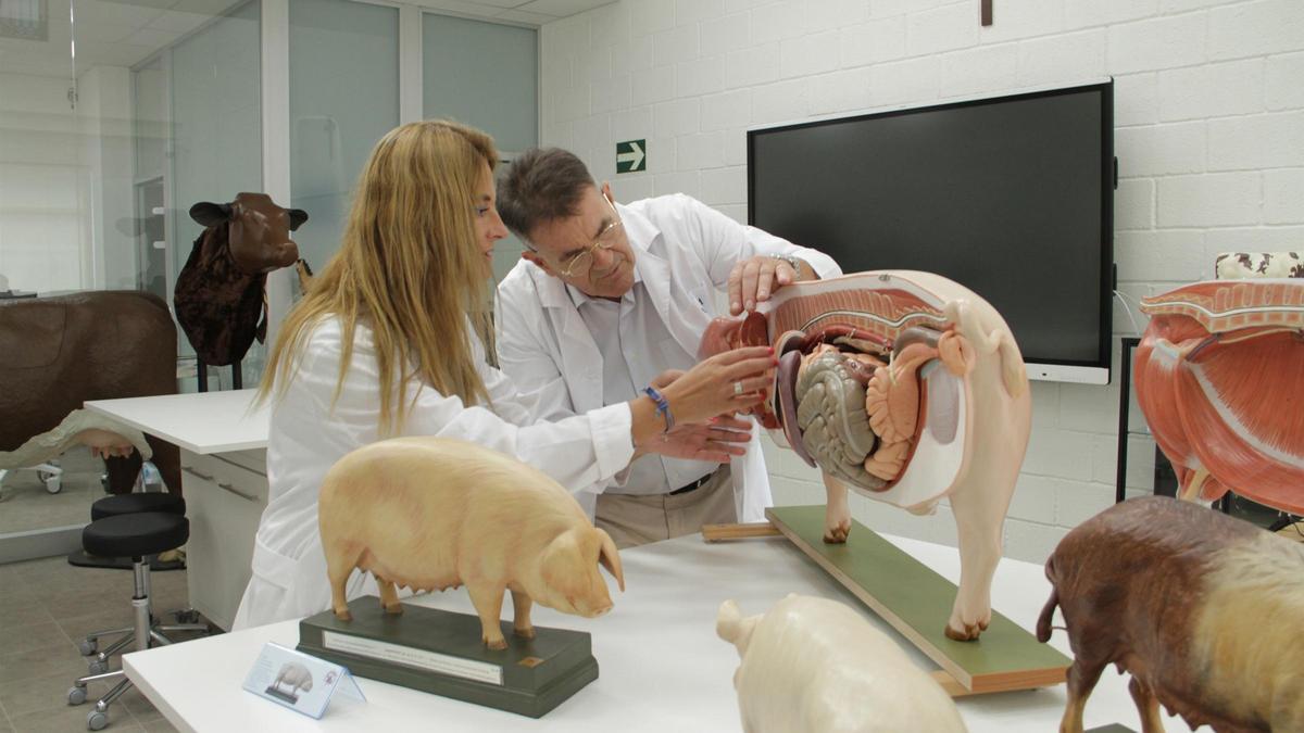 La UCAM comenzará las clases de Veterinaria la próxima semana