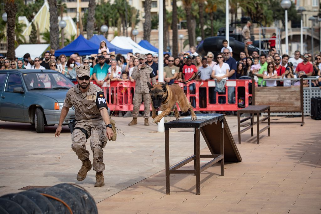 Exhibición de armas de la Armada en Cartagena