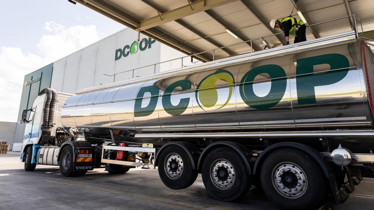 El aceite de oliva se consolidó como el motor económico del grupo Dcoop, tras generarar 490 millones de exportaciones en 2025.