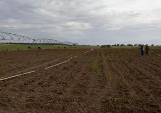 La Junta aprueba la planta Enebro Solar, en Pozuelo, declarada de utilidad pública