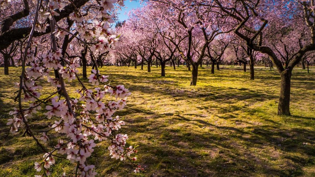 Este precioso e histórico parque está en Madrid y ahora es el mejor momento para visitarlo