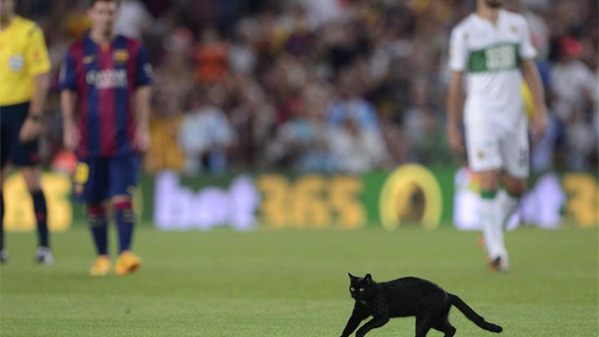 El FC Barcelona ha ganado una liga que empezó con la visita de un gato negro