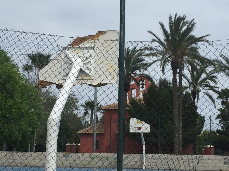 Deficiencias en paseos y parques Torrevieja