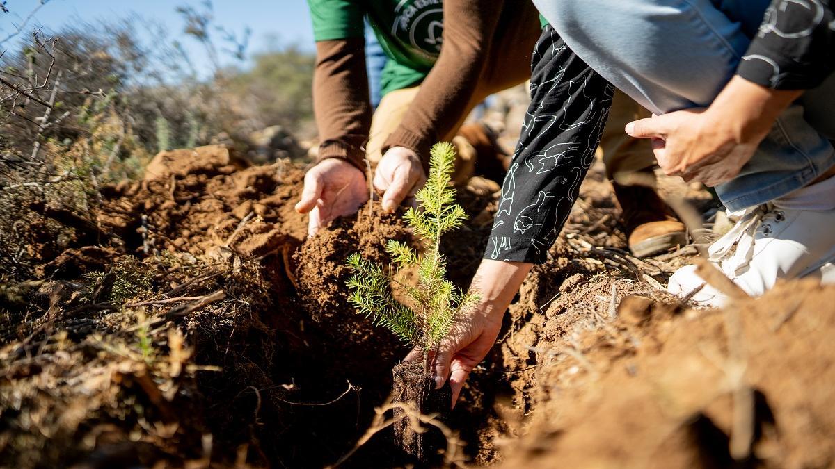 "Comprometidos con Nuestros Bosques"