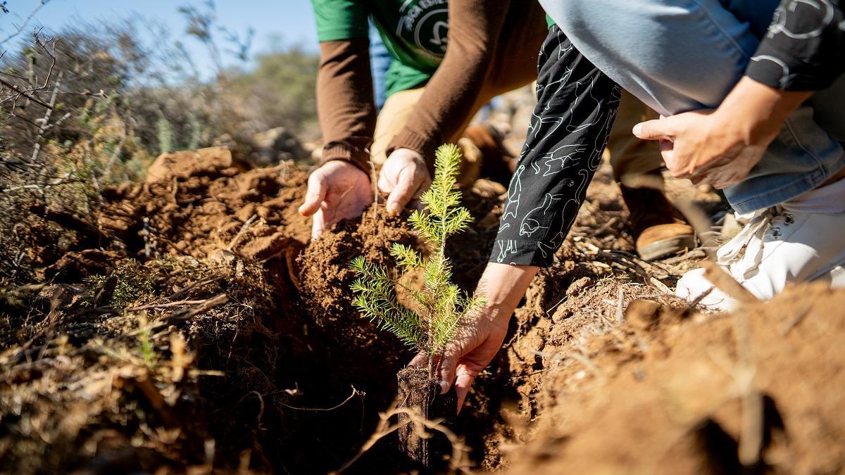 &quot;Comprometidos con Nuestros Bosques&quot;