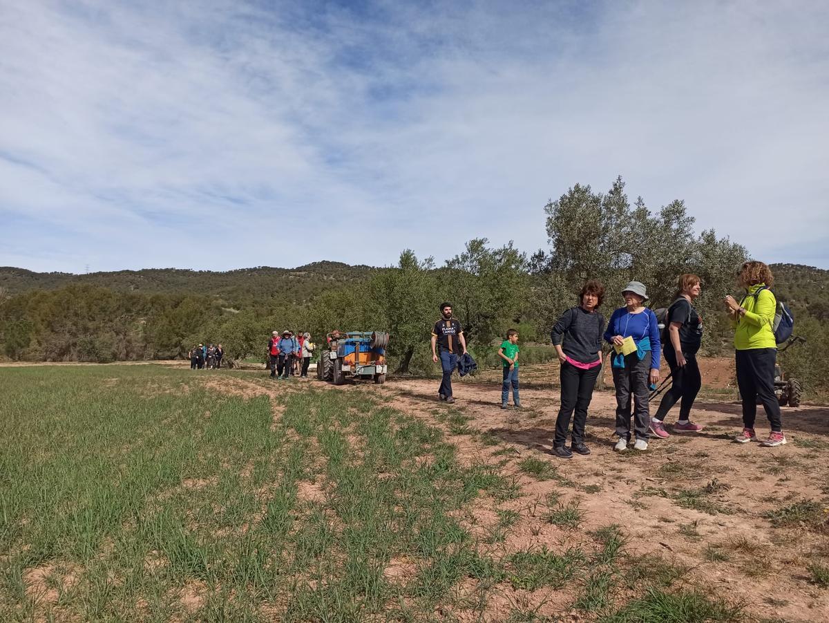 Fotografia del Rutatast del 2023