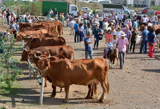 FIESTAS DE SAN GREGORIO