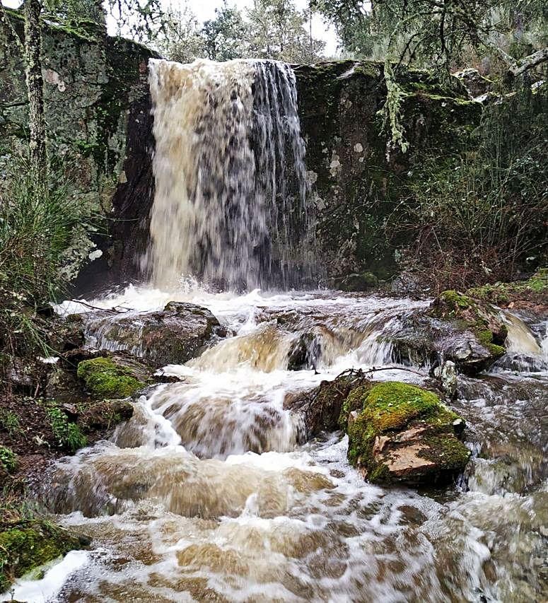 Arroyo Carrascalico en Fariza.