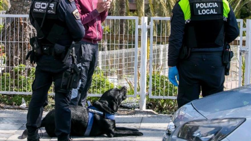 La Policía Local identificando al dueño de un perro en un control de hace unos días.