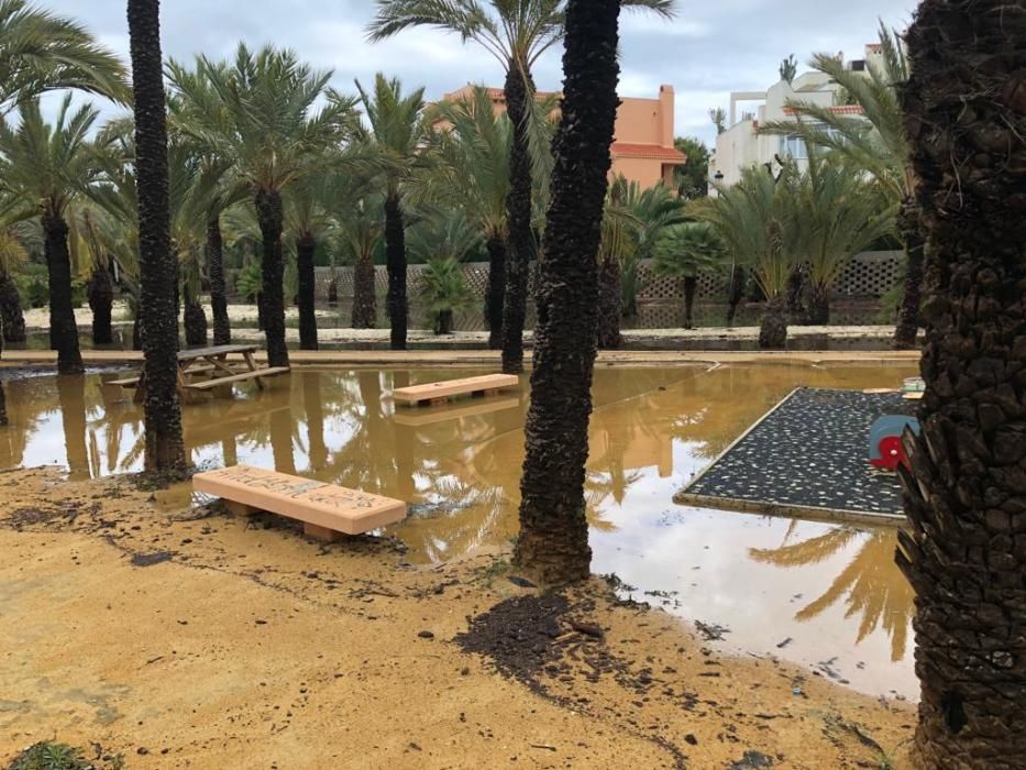 Palmeral de Cabo de Palos