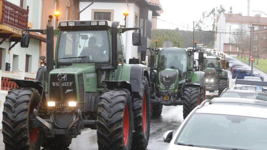 El Pleno de Gozón respalda a los ganaderos sin aclarar la vuelta a Luanco del certamen