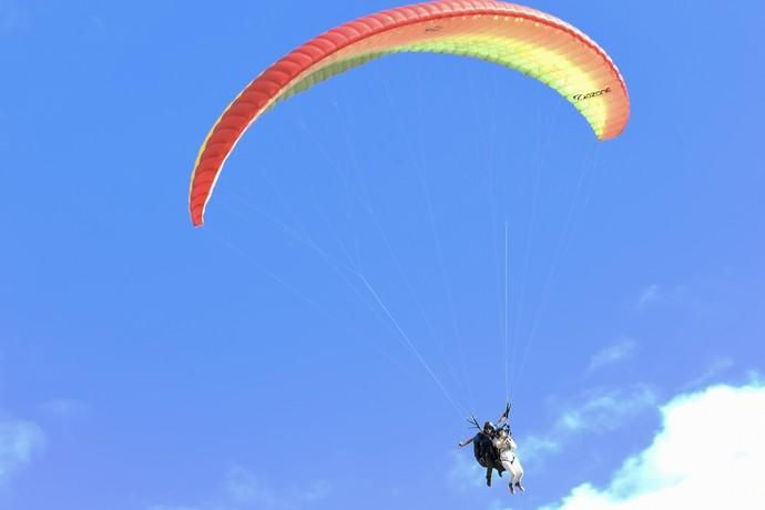 10-05-19 LAS PALMAS DE GRAN CANARIA. ZONA DE SALTOS PARAPENTE DE LOS GILES. LAS PALMAS DE GRAN CANARIA. Nardy Barrios en parapente.  Nardy Barrios se tira en parapente desde Los Giles junto a una persona que ganó un concurso. Fotos: Juan Castro  | 10/05/2019 | Fotógrafo: Juan Carlos Castro