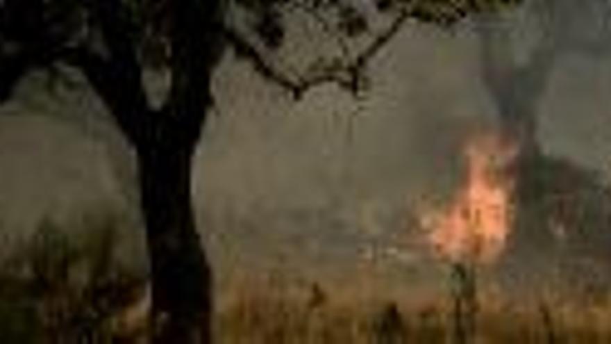 Diez incendios permanecen aún activos en Extremadura