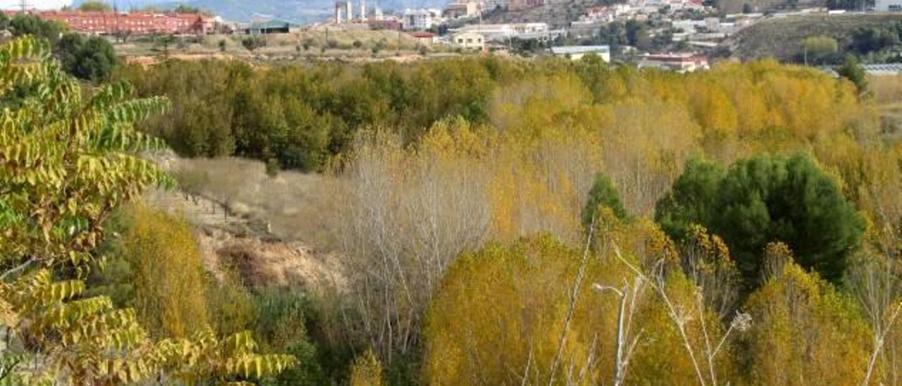 Imagen del casco urbano de Alcoy, completamente rodeado de vegetación.