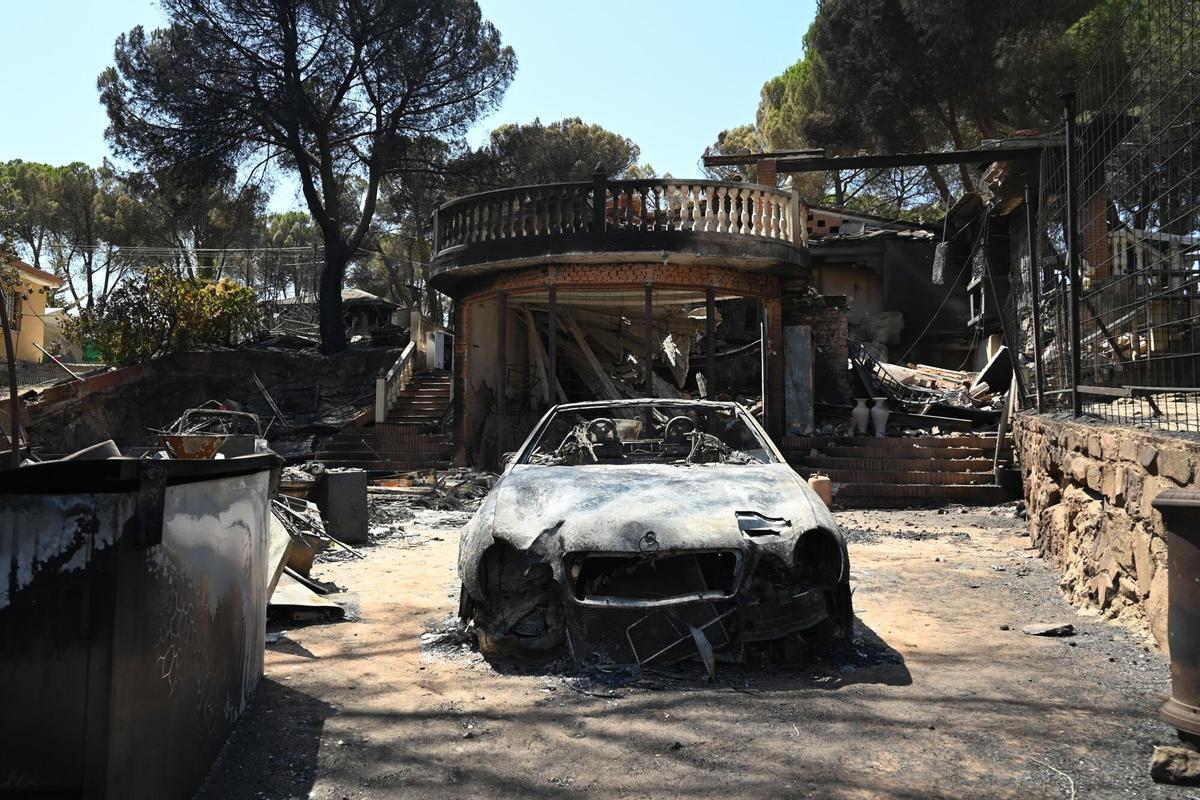 Zonas calcinadas tras el paso del incendio en Pelayos de la Presa.