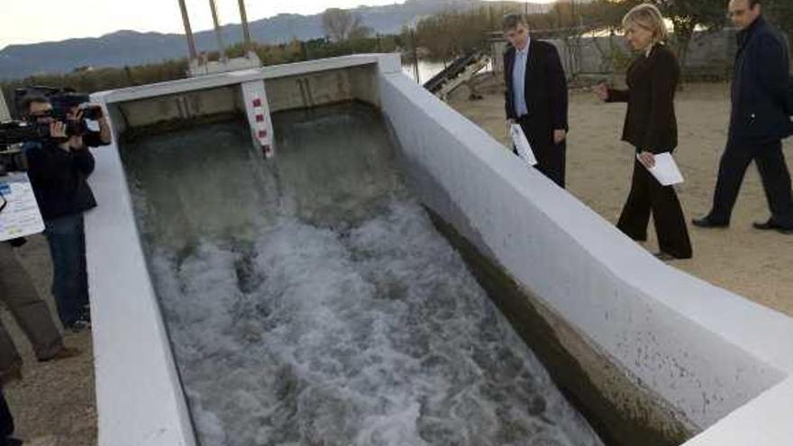 Los regantes celebran que el Plan del Júcar garantice un trasvase con agua de calidad