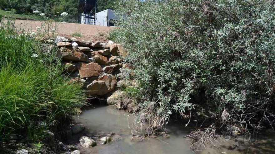 Suciedad en el río Tera, junto a la depuradora de aguas residuales de El Puente de Sanabria.