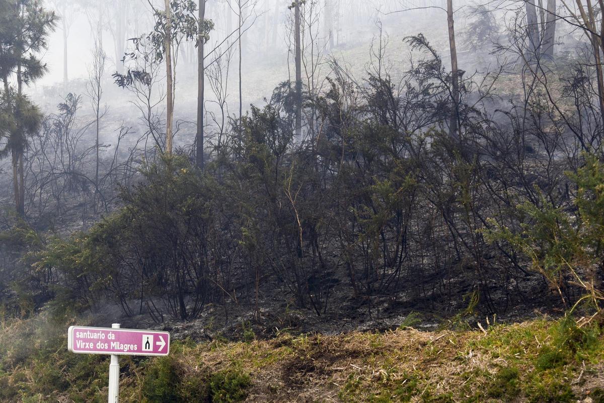 incendio/260406LCO_CASTELEIRO (234005691)
