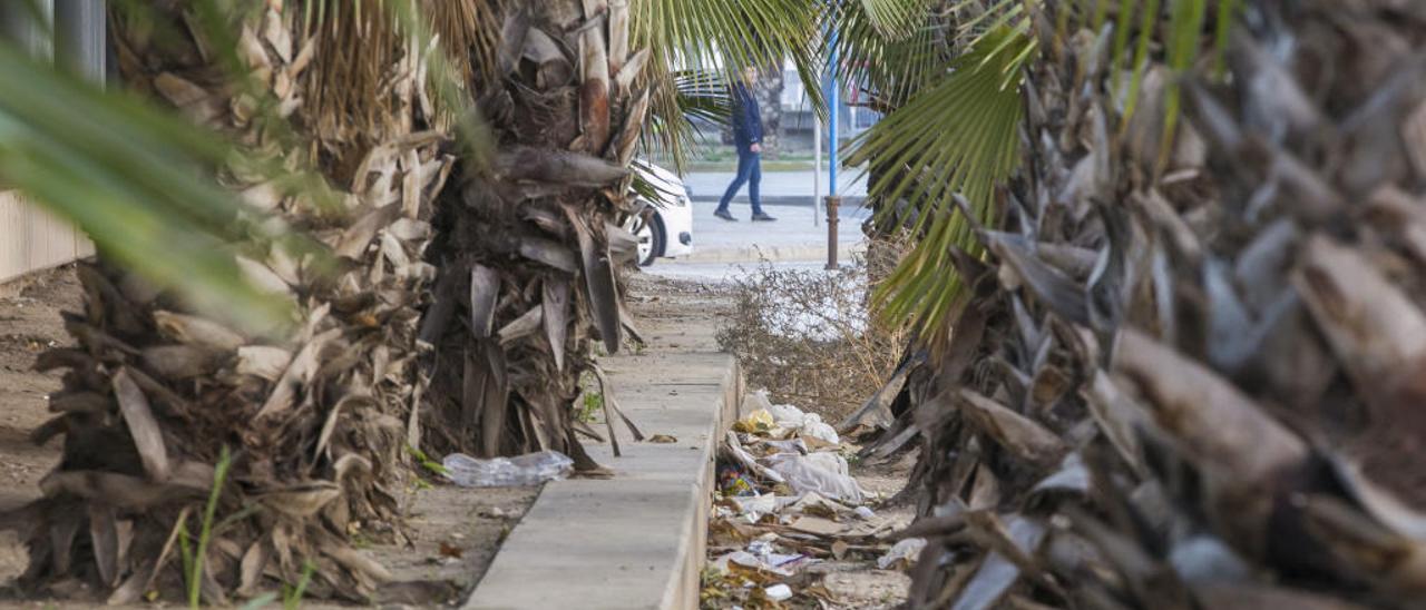 Basura en una de las aceras ajardinadas del puente.