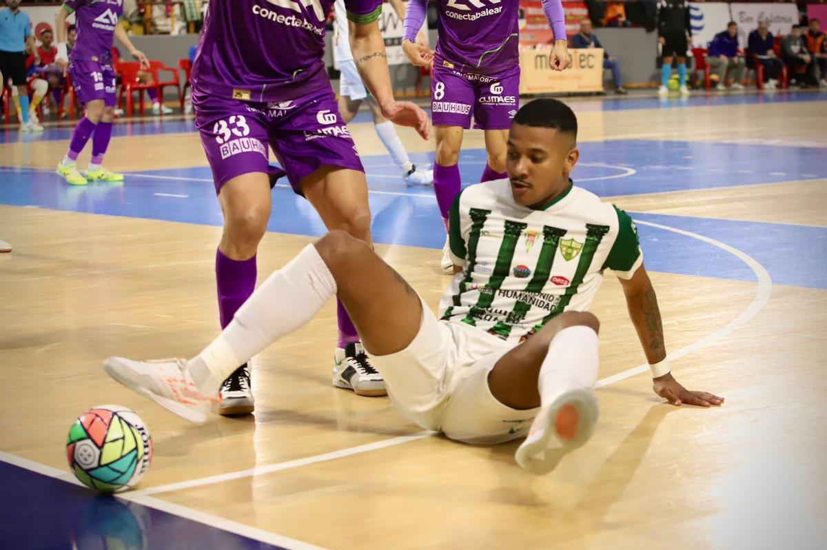 Córdoba Futsal Patrimonio-Mallorca Palma: el partido en imágenes Córdoba Futsal Patrimonio-Mallorca Palma: el partido en imágenes