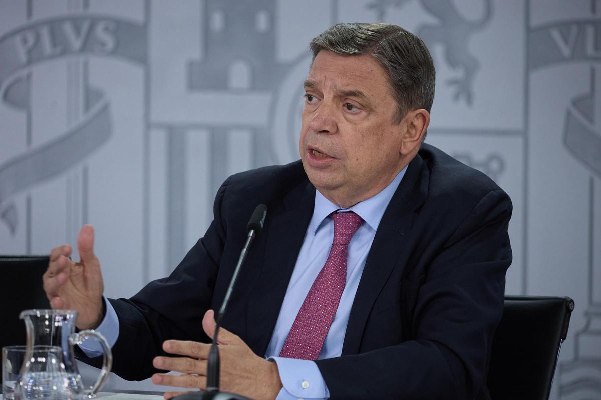 Archivo - El ministro de Agricultura, Pesca y Alimentación, Luis Planas